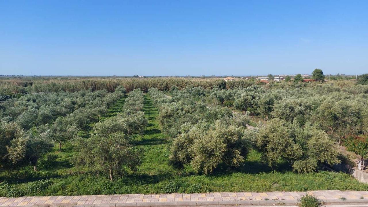 Pírgos Homonatura. Sense Of Native Living. מראה חיצוני תמונה
